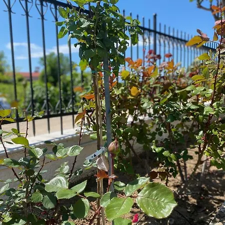 Hοme4u * Nea Kallikrateia