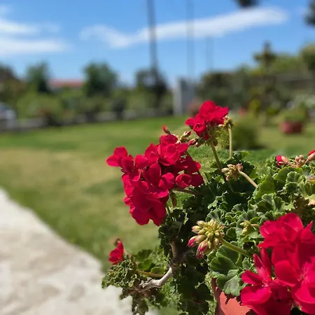 Hοme4u Nea Kallikrateia