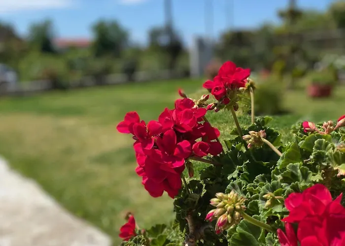 Hοme4u Nea Kallikrateia